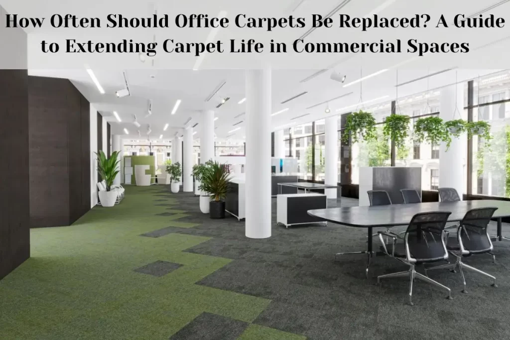 How Often Should Office Carpets Be Replaced? A Guide to Extending Carpet Life in Commercial Spaces